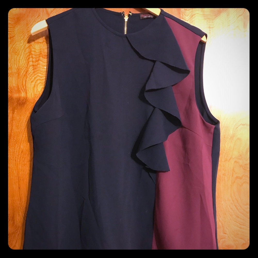 The Limited Ruffle Detailed Blouse